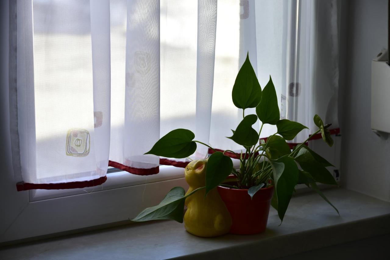 Primula Apartment Blejska Dobrava Eksteriør billede